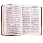 NIV Chocolate & Amber Two Tone Faux Leather Holy Bible Larger Print - Image 22