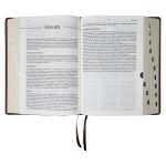 NLV Neutbruin Kunsleer Tematiese Studiebybel Met Duimgrepe - Image 26
