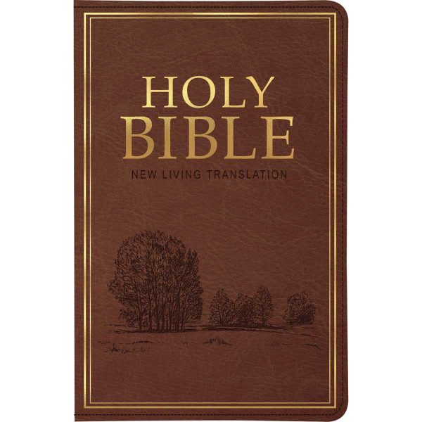 NLT Brown Faux Leather Standard Bible Thumb Indexed - Image 4