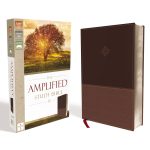 Amplified Study Bible Brown (Imitation Leather) - Image 2