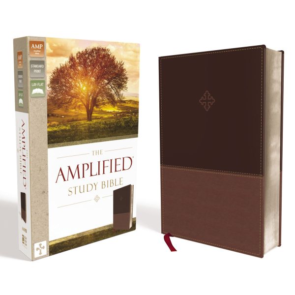 Amplified Study Bible Brown (Imitation Leather) - Image 2