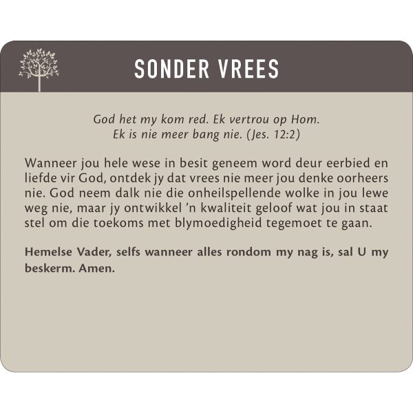 Geanker In Die Woord Afrikaans Prayer Cards In Tin - Image 19