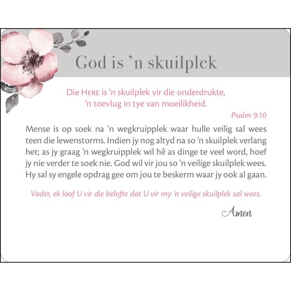 Vreugde In Sy Teenwoordigheid Afrikaans Cards In Tin - Image 17