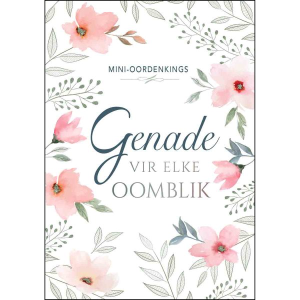 Mini Oordenkings Genade Vir Elke Oomblik (Sagteband) - Image 13