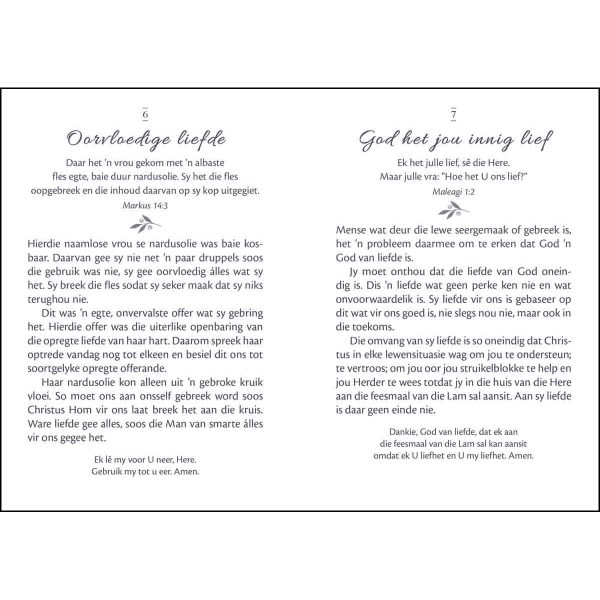 Mini Oordenkings Genade Vir Elke Oomblik (Sagteband) - Image 16