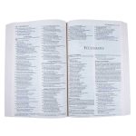 NIV Economy Bible (Paperback) - Image 24