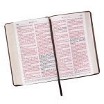 KJV Tan & Brown Faux Leather Standard Bible Giant Print Red Letter - Image 6